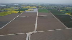 2023年高标准农田改造提升项目