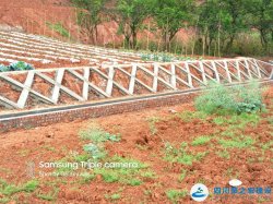 内江市东兴区平坦乡等5个区投资土地整理项目施